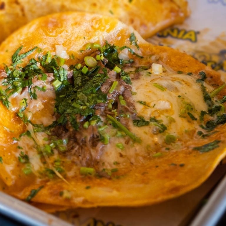 Delicious Quesabirria Awaits You
